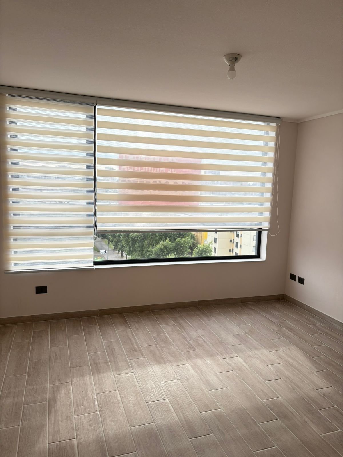 WhatsApp Image 2025-12-31 at 1.37.00 PM