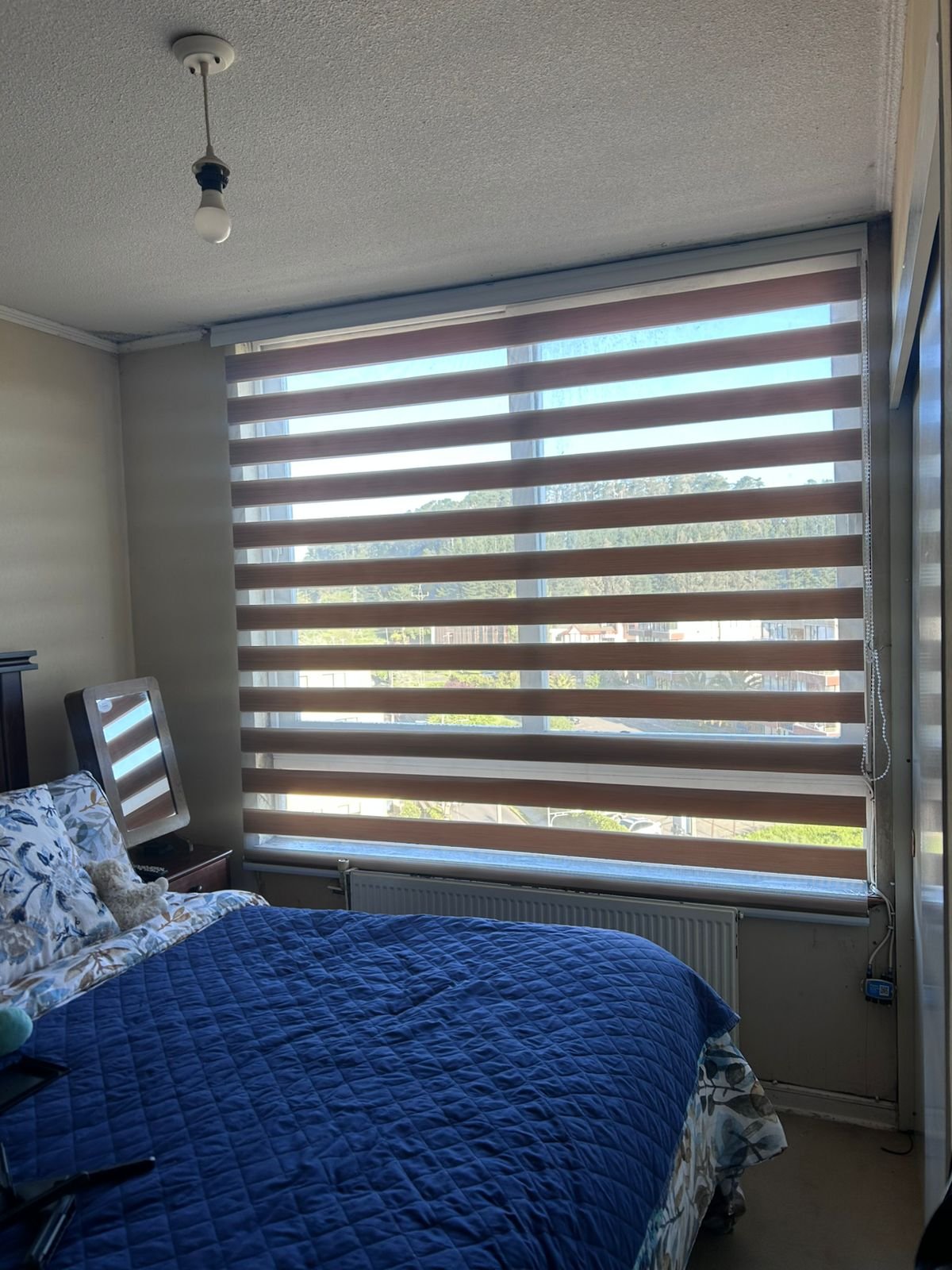 WhatsApp Image 2025-12-31 at 1.37.06 PM