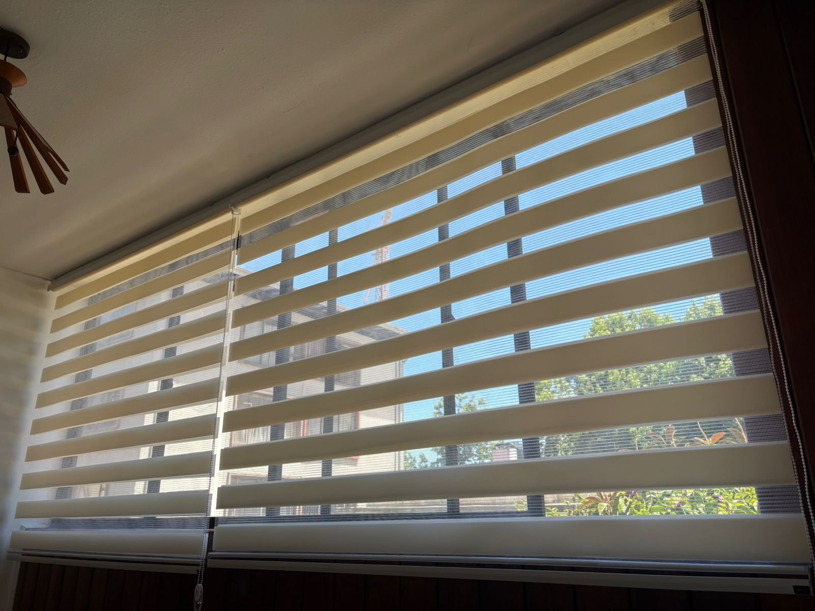 WhatsApp Image 2025-12-31 at 1.50.22 PM (1)